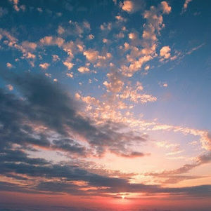 Meet your Posher, Lymara